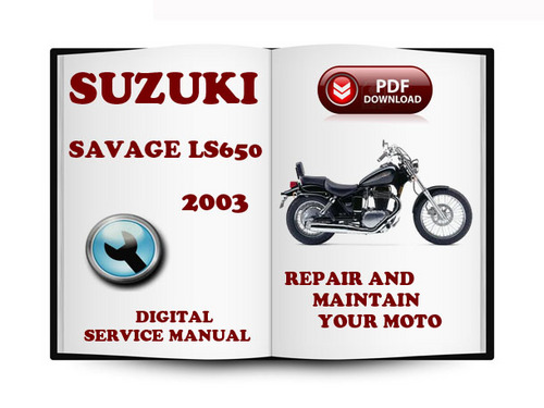 Product picture Suzuki Savage LS650 2003 Service Repair Manual Download